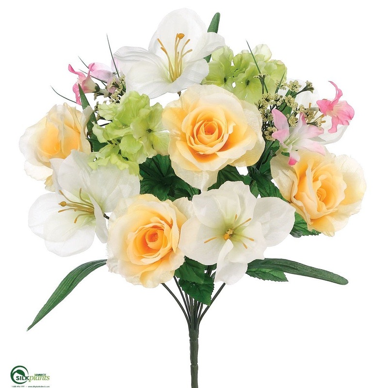 Amaryllis, Rose Bush – Yellow Mixed – Pack of 12