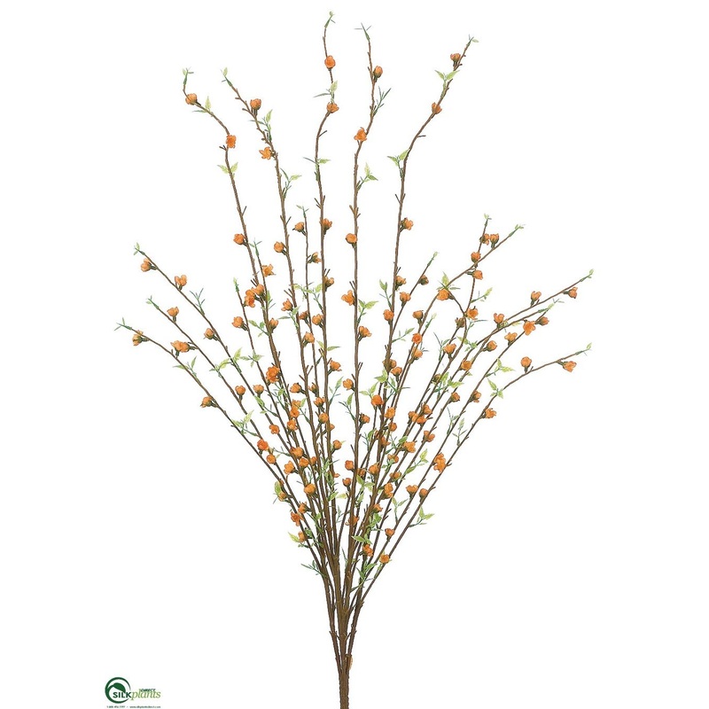 Wild Blossom Bush – Yellow – Pack of 6