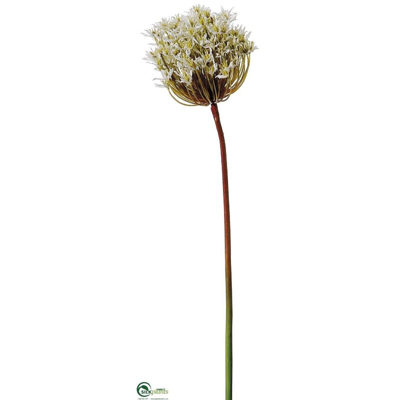 Allium Spray – White – Pack of 12