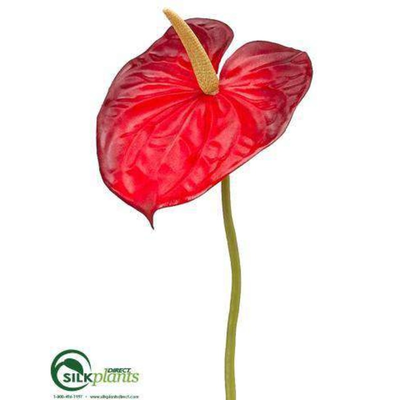 Anthurium Spray – Red – Pack of 24