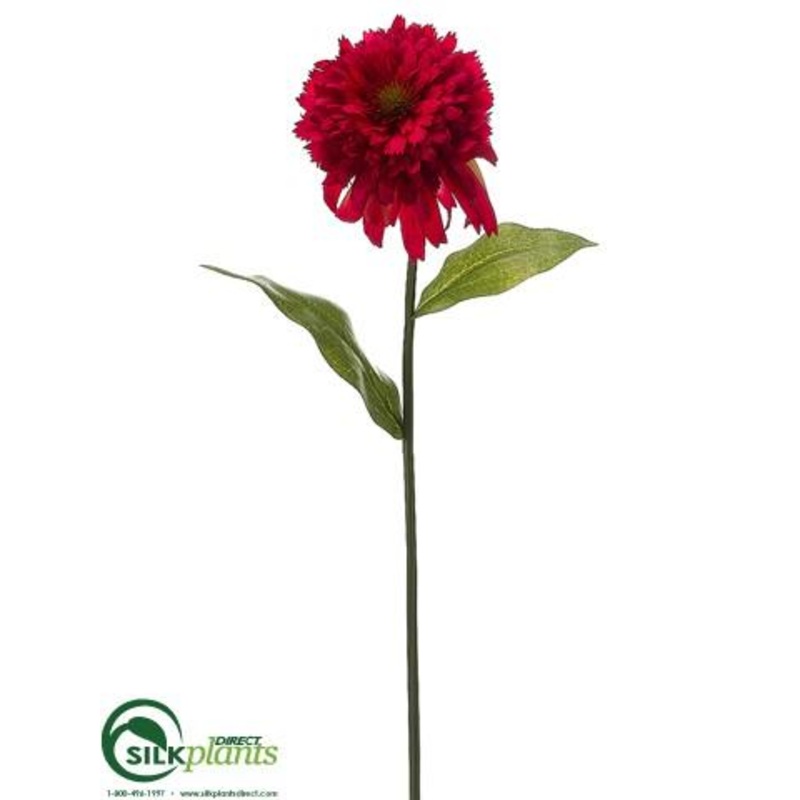 Zinnia Spray – Beauty – Pack of 12