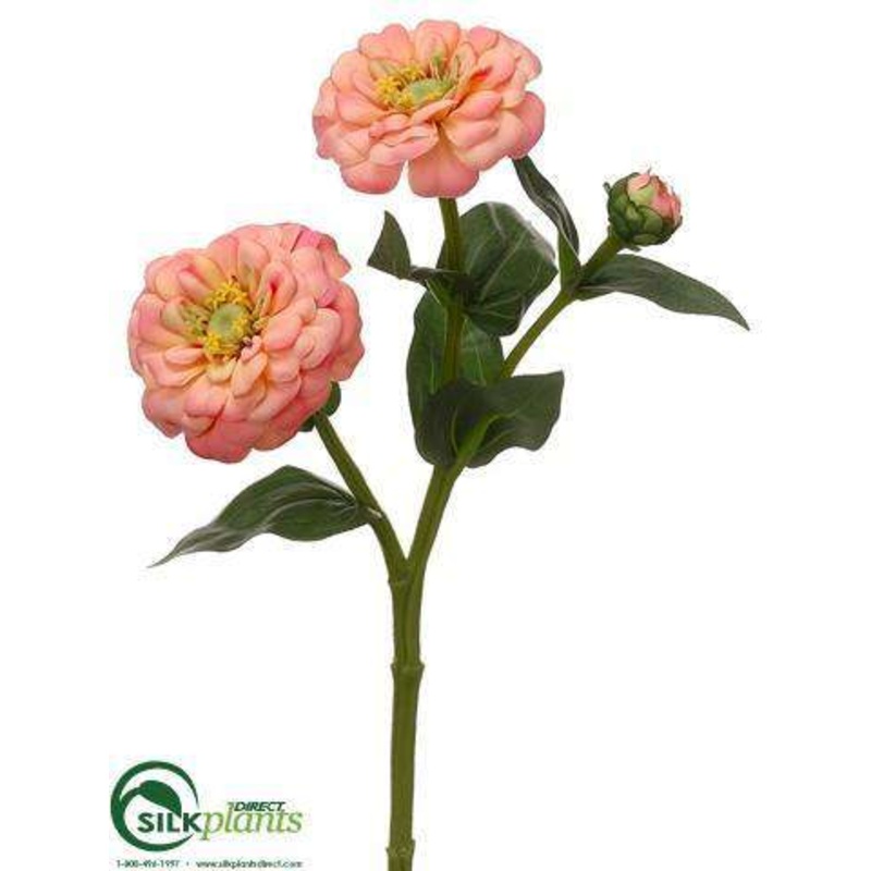 Zinnia Spray – Peach – Pack of 24