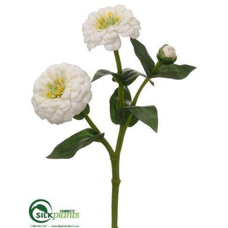 Zinnia Spray – White – Pack of 24