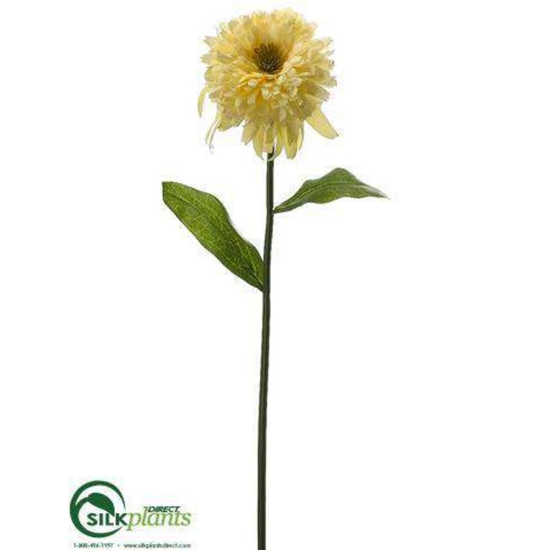 Zinnia Spray – Yellow Soft – Pack of 12