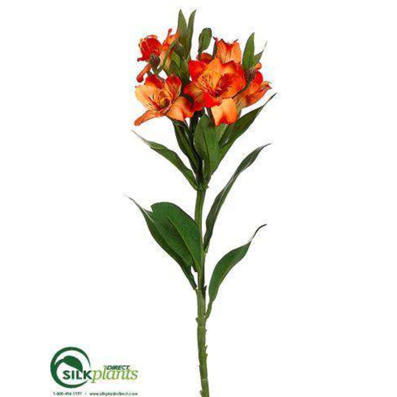 Alstroemeria Spray – Orange Two Tone – Pack of 12