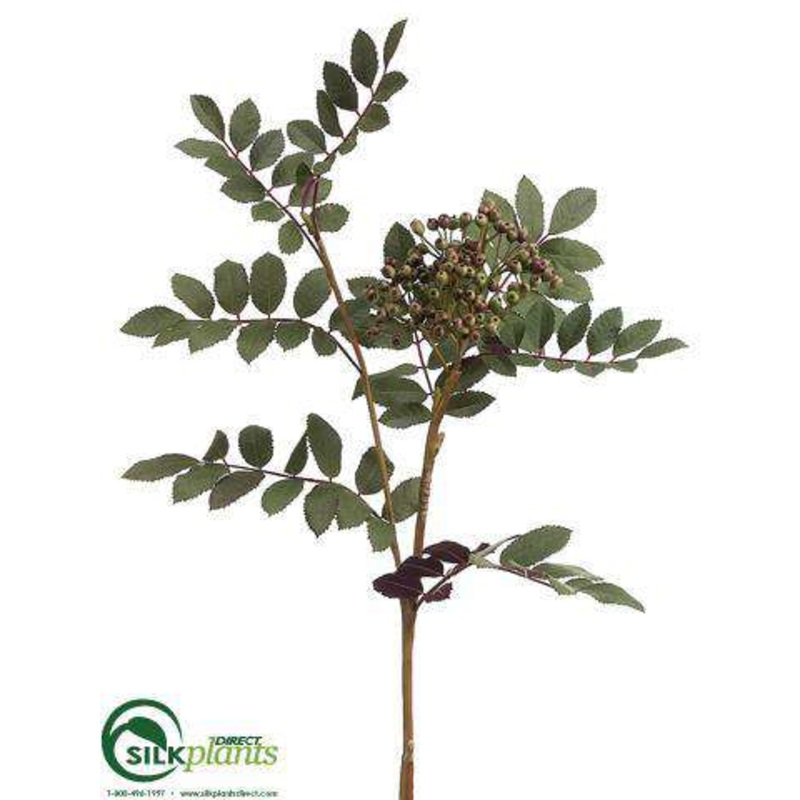 Ash Spray – Green Burgundy – Pack of 12