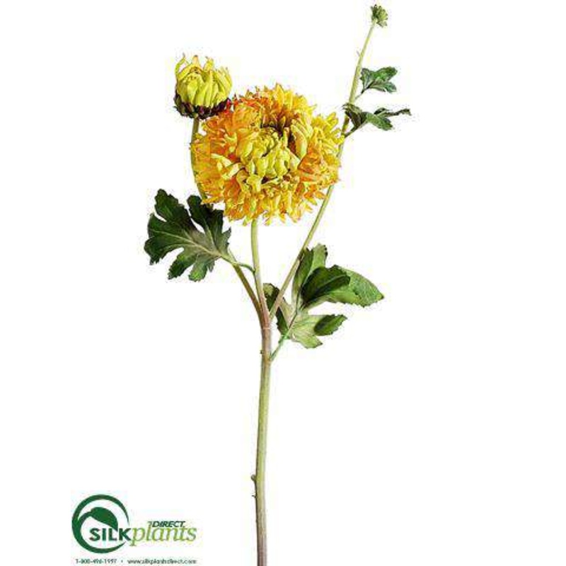 Aster Mum Spray – Yellow Orange – Pack of 12