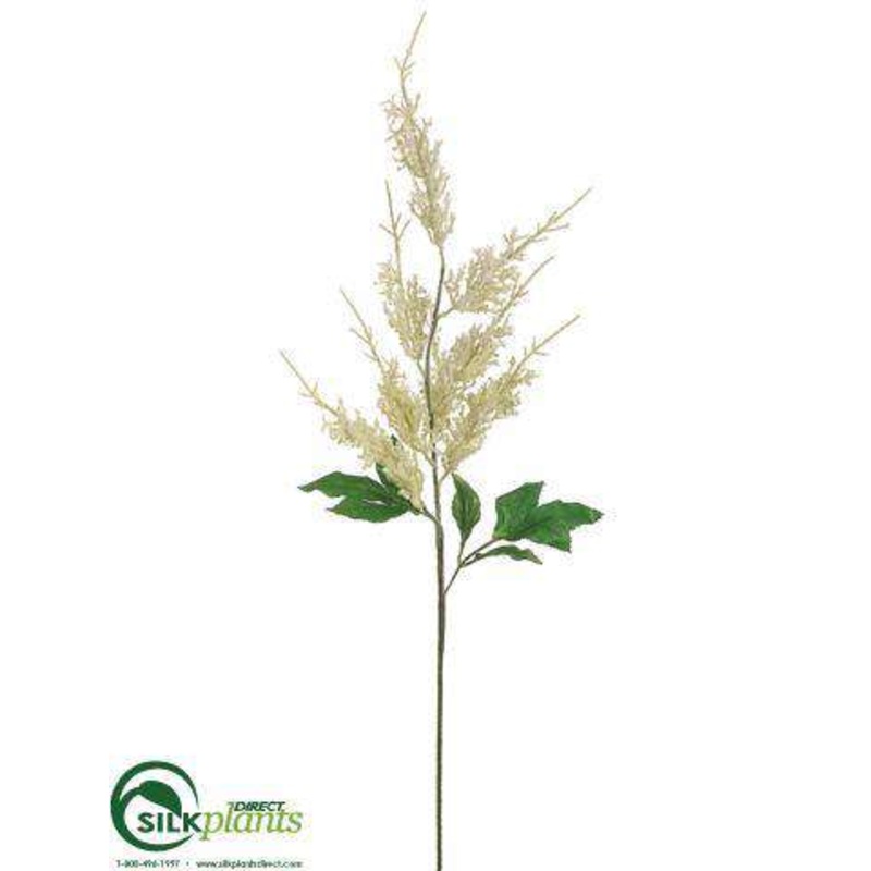 Astilbe Spray – Cream – Pack of 12