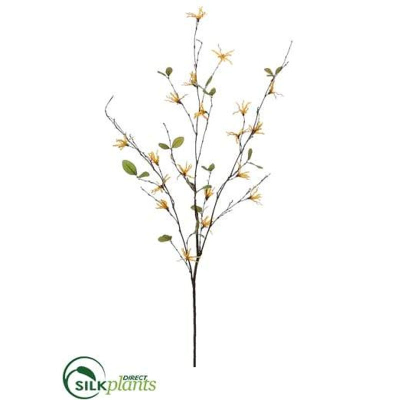 Wild Witch Hazel Spray – Yellow – Pack of 12
