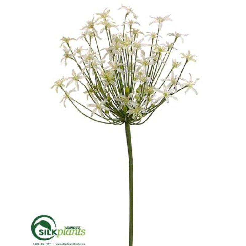 Allium Blossom Spray – Cream Green – Pack of 6