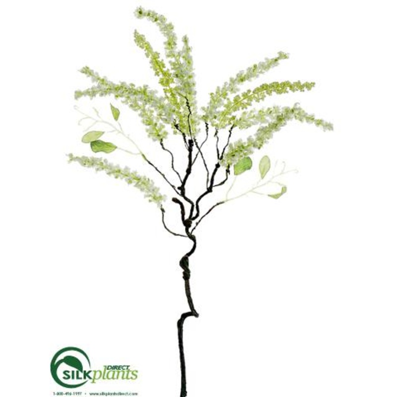 Amaranthus Spray – Cream Green – Pack of 12