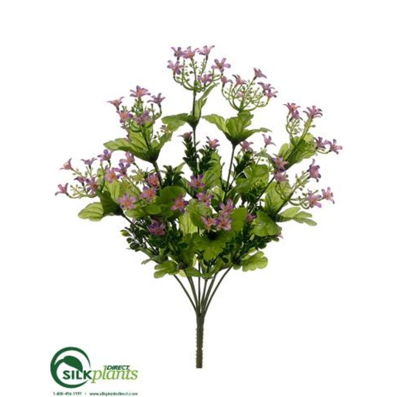 Wax Flower Bush – Lilac – Pack of 12
