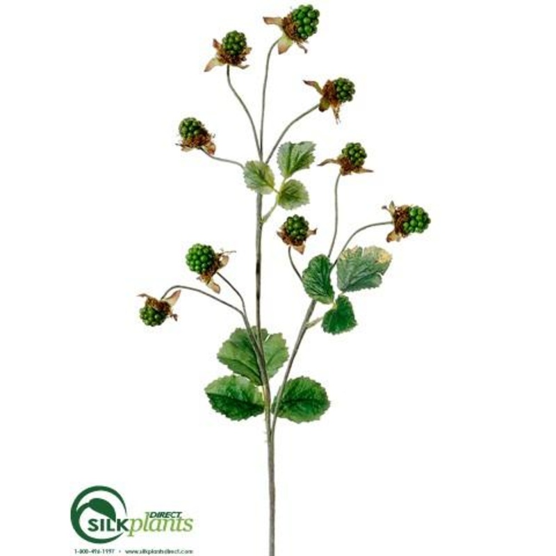 Wild Berry Spray – Green – Pack of 12