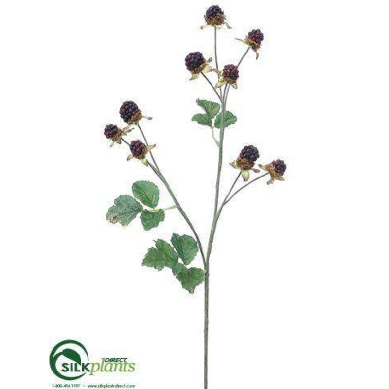 Wild Berry Spray – Plum Two Tone – Pack of 12