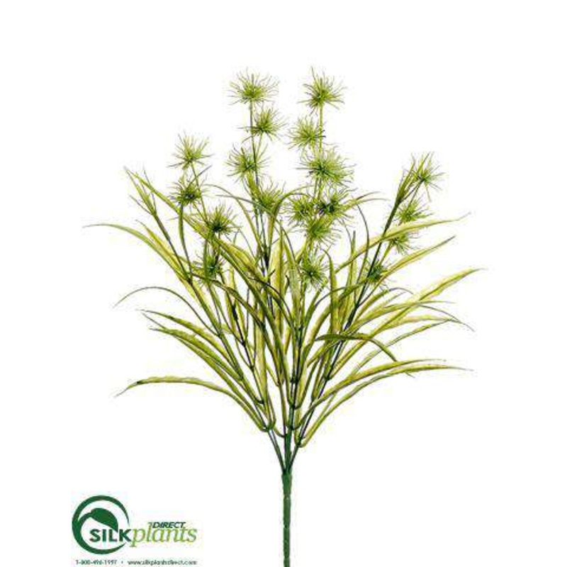 Wild Thistle, Grass Bush – Green – Pack of 12
