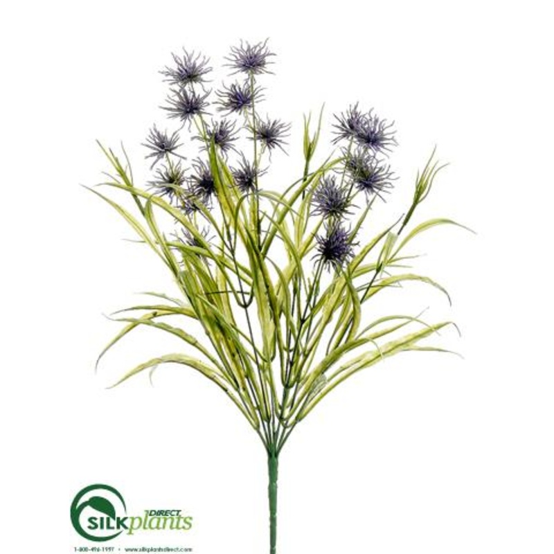 Wild Thistle, Grass Bush – Lavender – Pack of 12