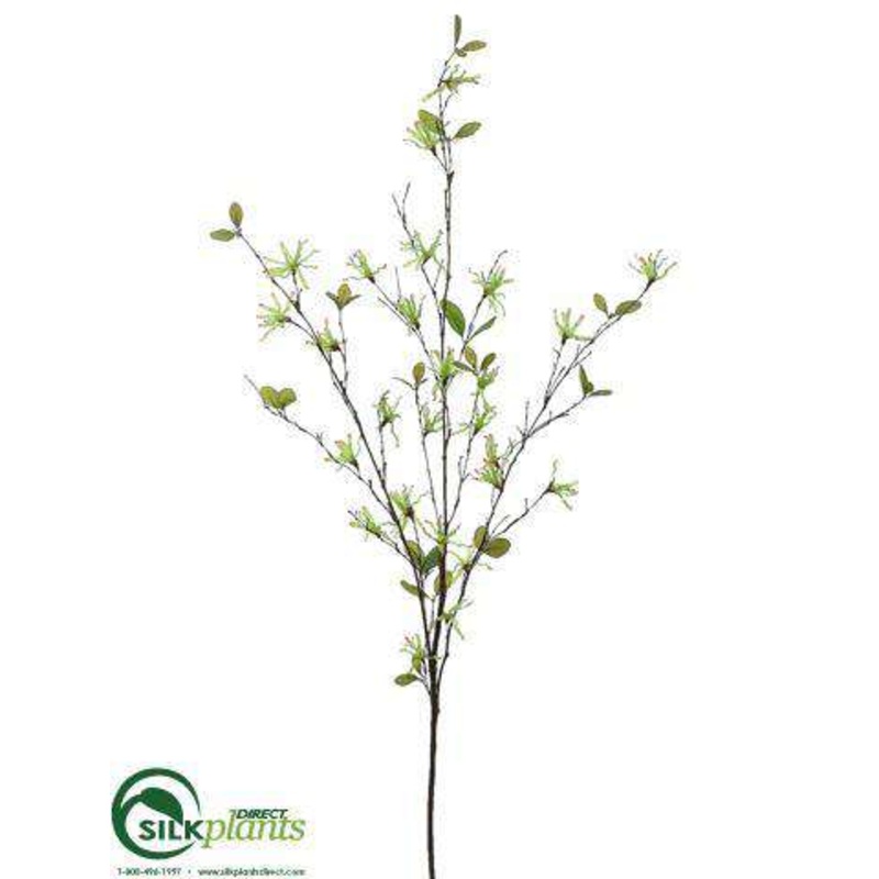 Wild Witch Hazel Spray – Green Cream – Pack of 12