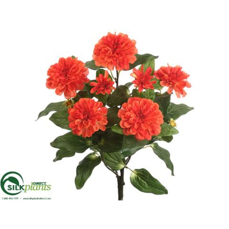 Zinnia Bush – Orange – Pack of 12