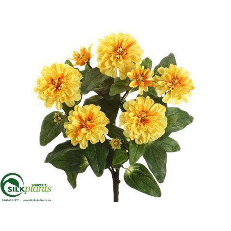 Zinnia Bush – Yellow – Pack of 12