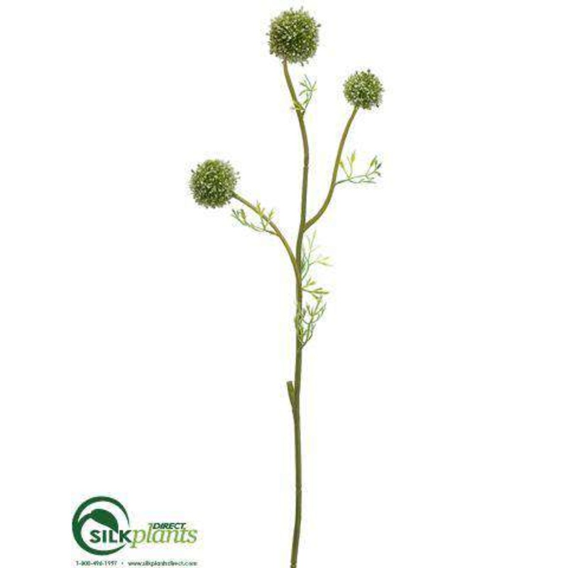Allium Spray – Cream Green – Pack of 12