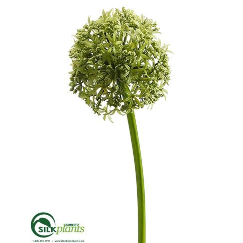 Allium Spray – Green – Pack of 12