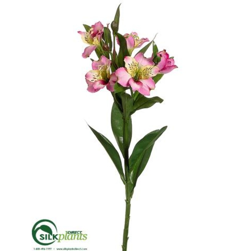 Alstroemeria Spray – Lilac Two Tone – Pack of 12