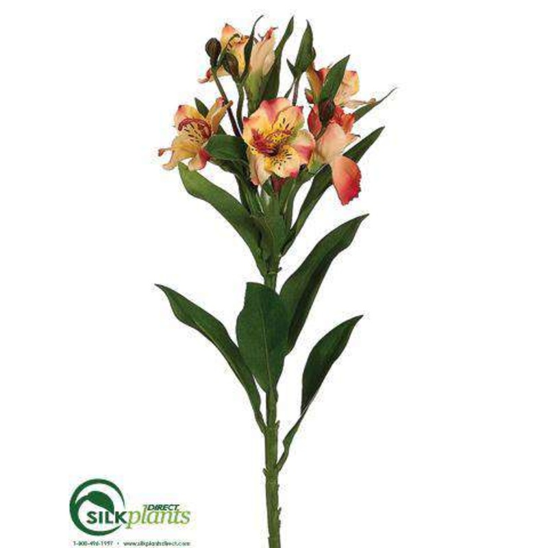 Alstroemeria Spray – Yellow Pink – Pack of 12