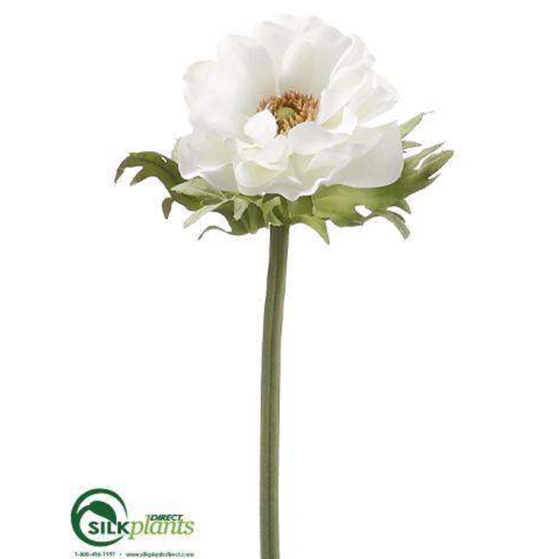 Anemone Spray – Cream – Pack of 12