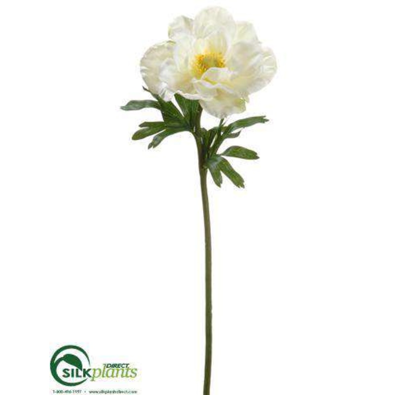 Anemone Spray – White – Pack of 12