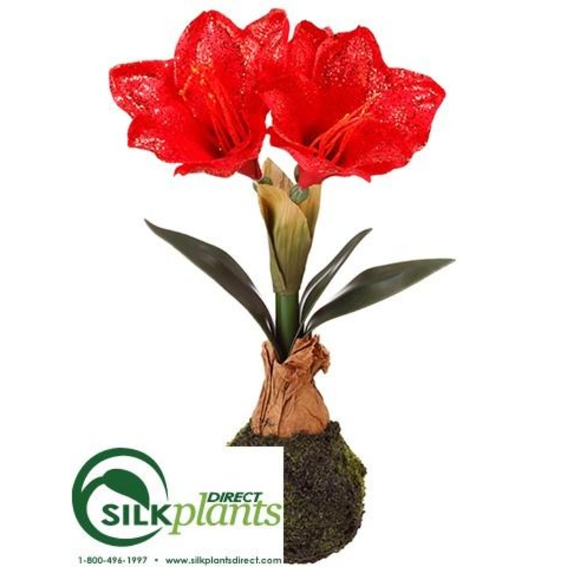 Amaryllis – Red Glittered – Pack of 6