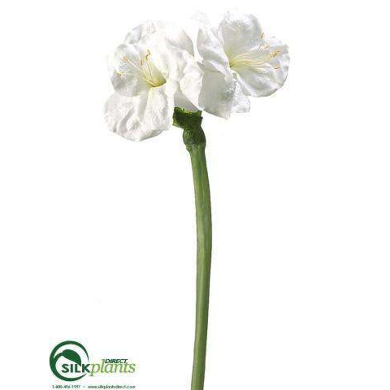 Amaryllis Spray – White – Pack of 2