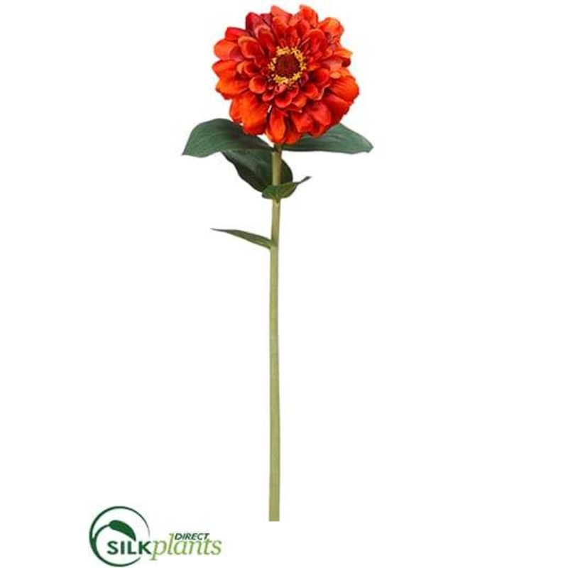 Zinnia Stem – Brick – Pack of 12