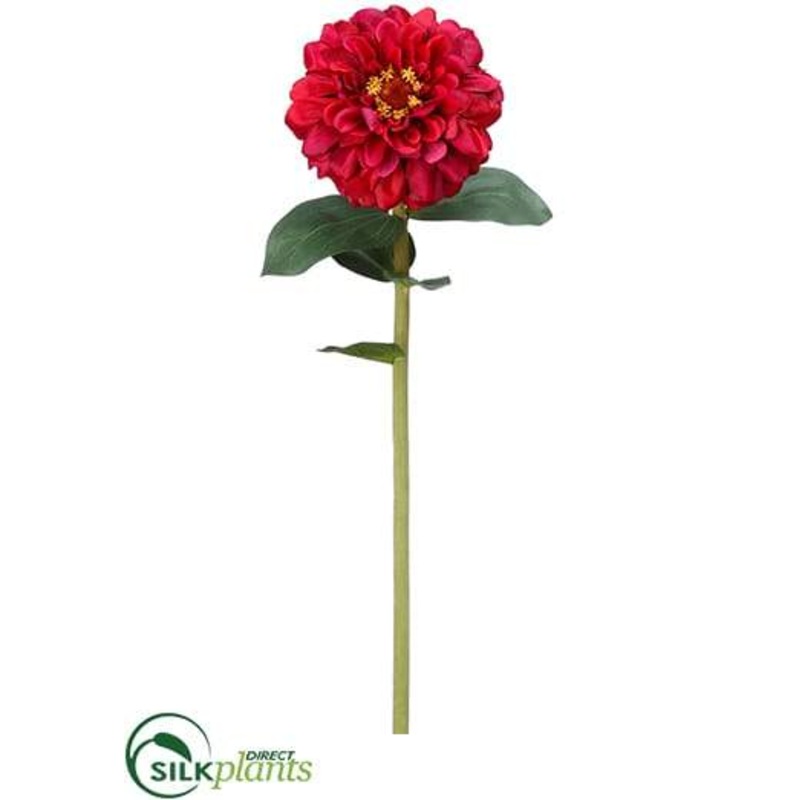 Zinnia Stem – Fuchsia Old – Pack of 12