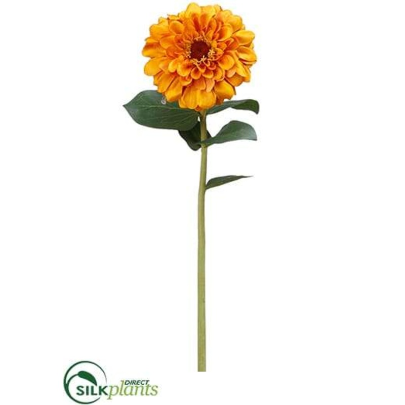 Zinnia Stem – Gold Old – Pack of 12