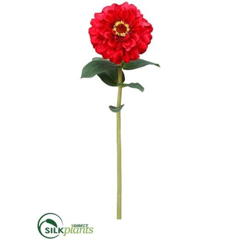 Zinnia Stem – Red – Pack of 12