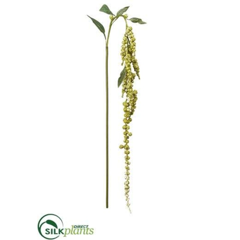 Amaranthus Hanging Spray – Cream Green – Pack of 12