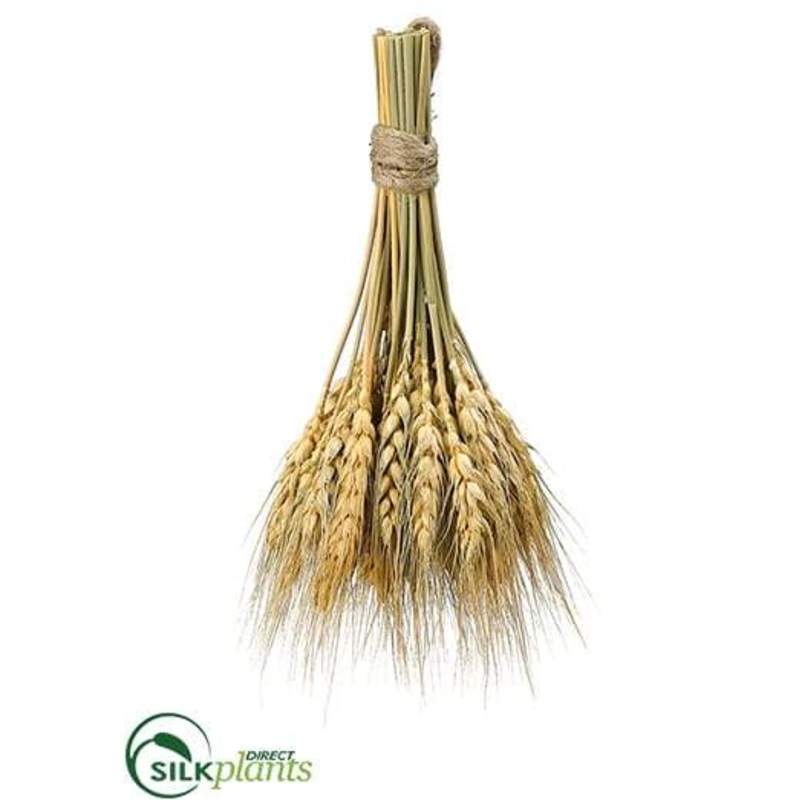 Wheat Bundle – Natural – Pack of 6