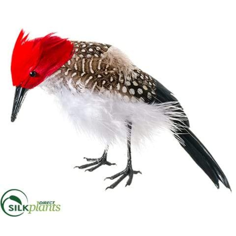 Woodpecker – Red Black – Pack of 12