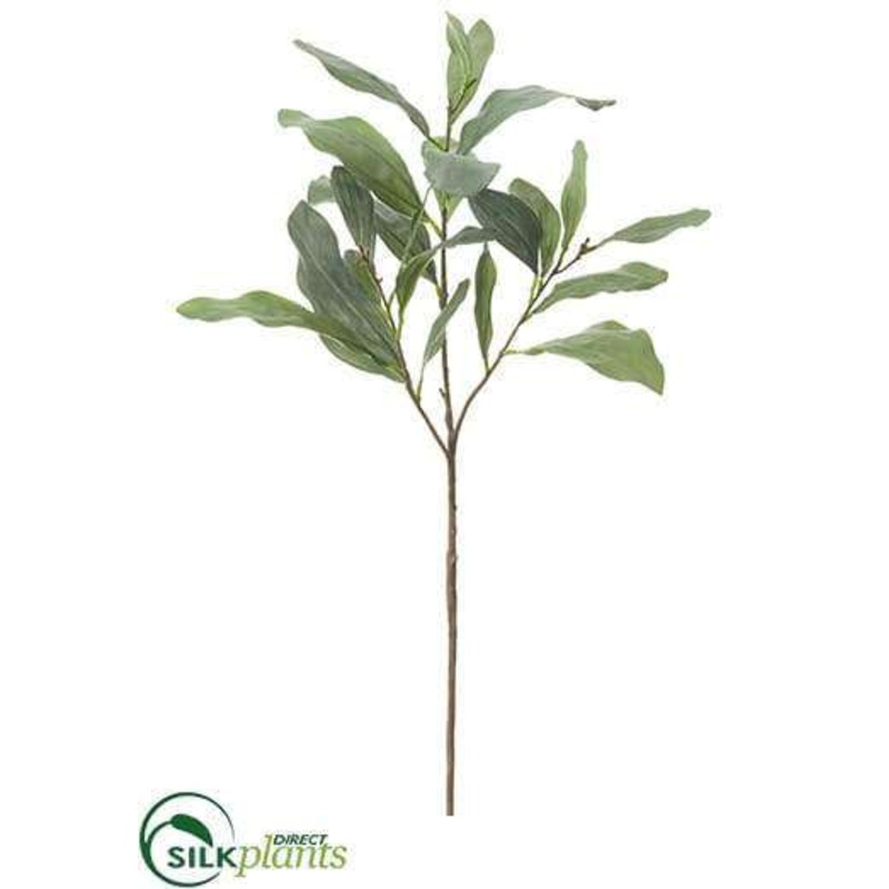 Acacia Spray – Green Gray – Pack of 12