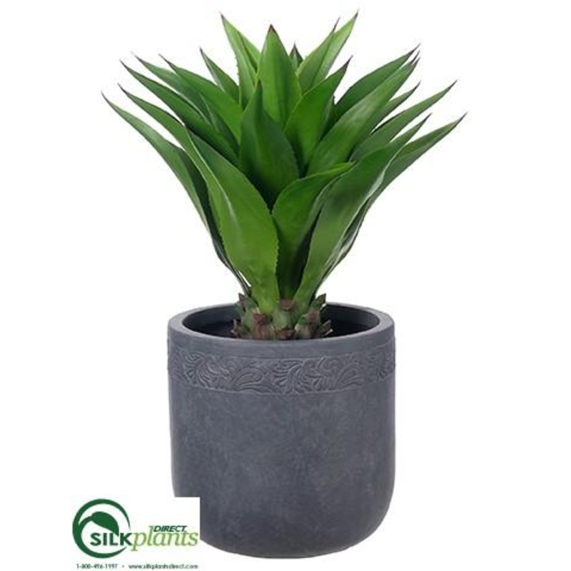 Agave Plant – Green – Pack of 1