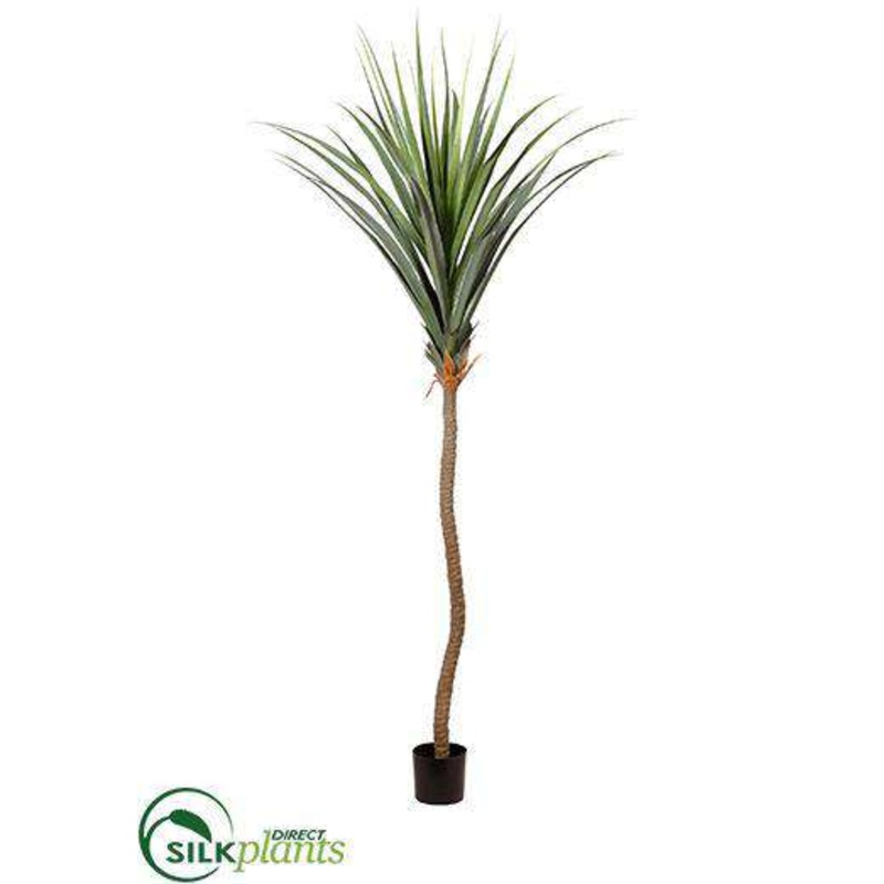 Agave Tree – Green – Pack of 2