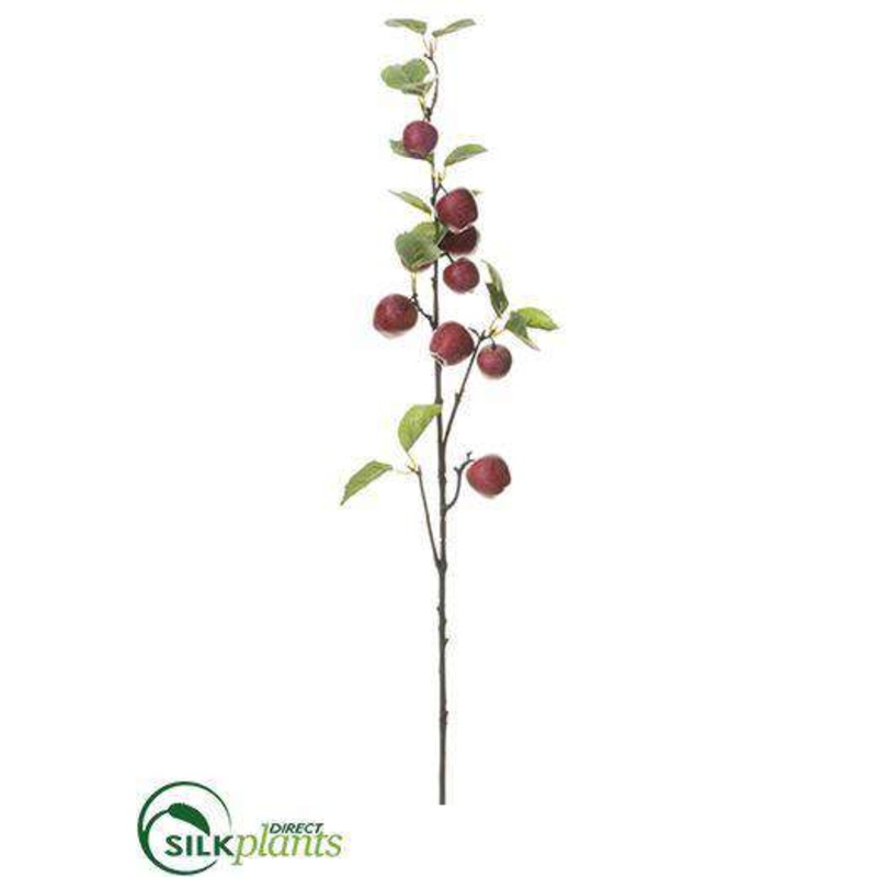 Apple Spray – Burgundy – Pack of 24