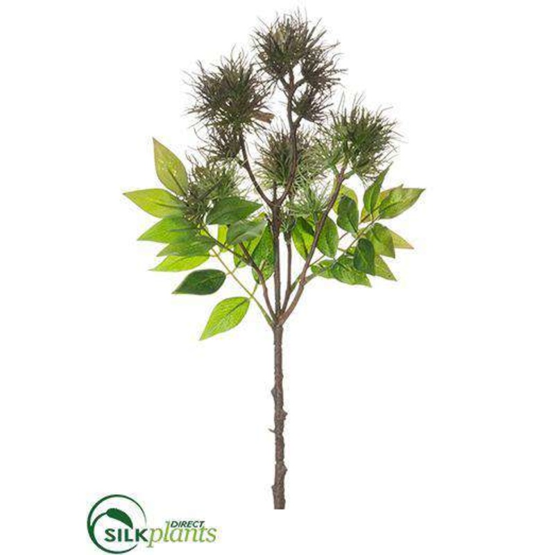 Witch Hazel Spray – Olive Green – Pack of 12