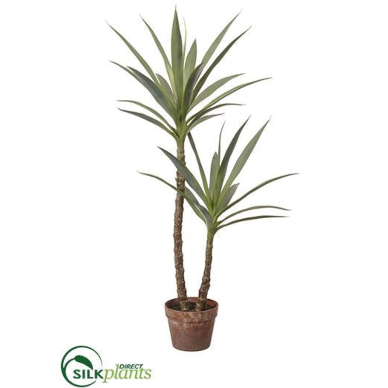 Yucca Tree – Green – Pack of 2