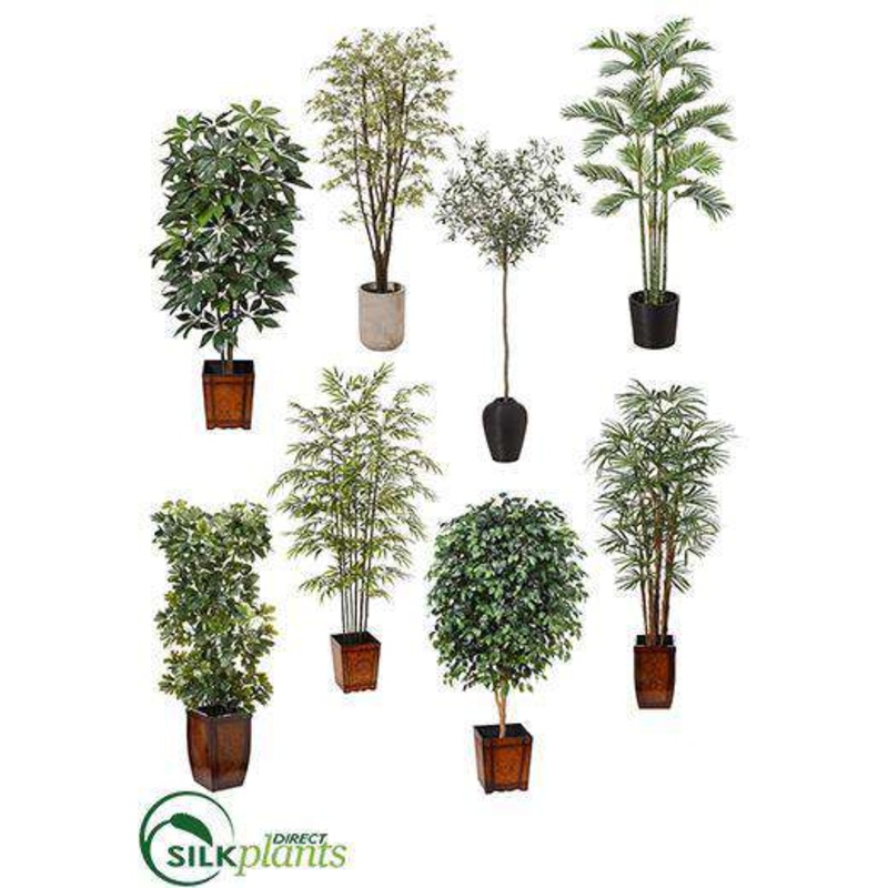 8 Tree Package Green – Assorted – Pack of 1