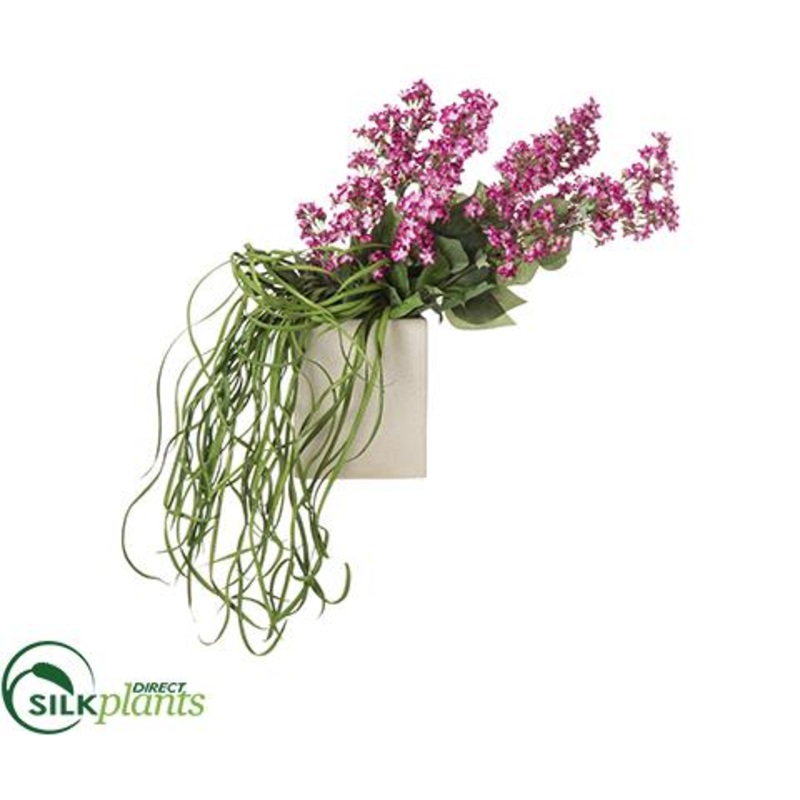 Bouvardia,  Grass – Violet Green – Pack of 1