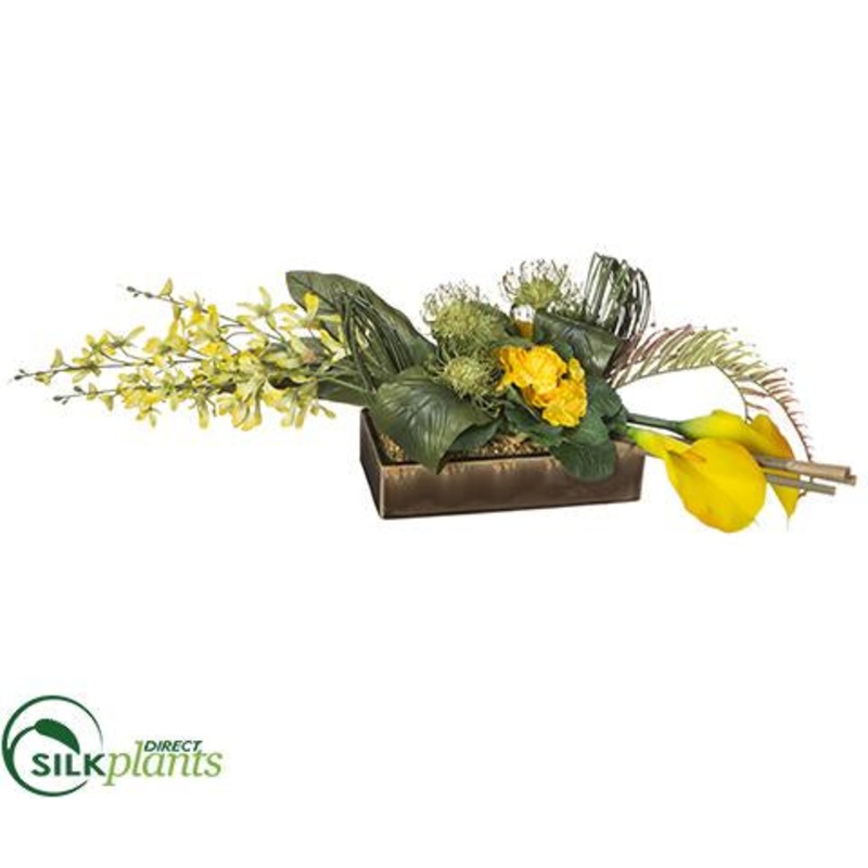 Denrobium, Protea – Yellow Green – Pack of 1