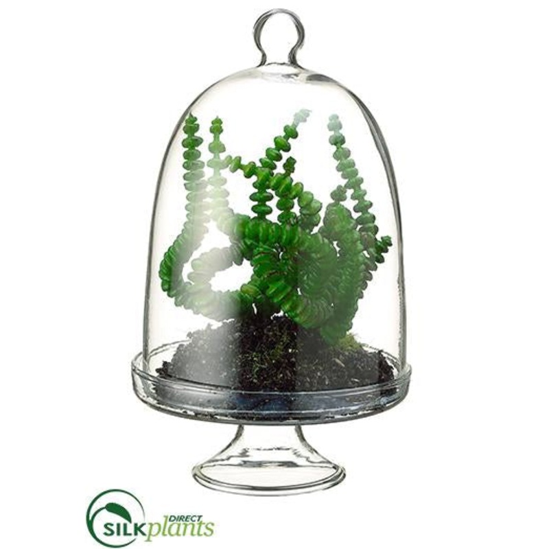 Worm Succulent – Green – Pack of 48