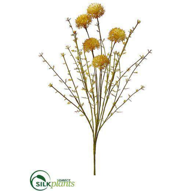 Allium Spray – Mustard – Pack of 12