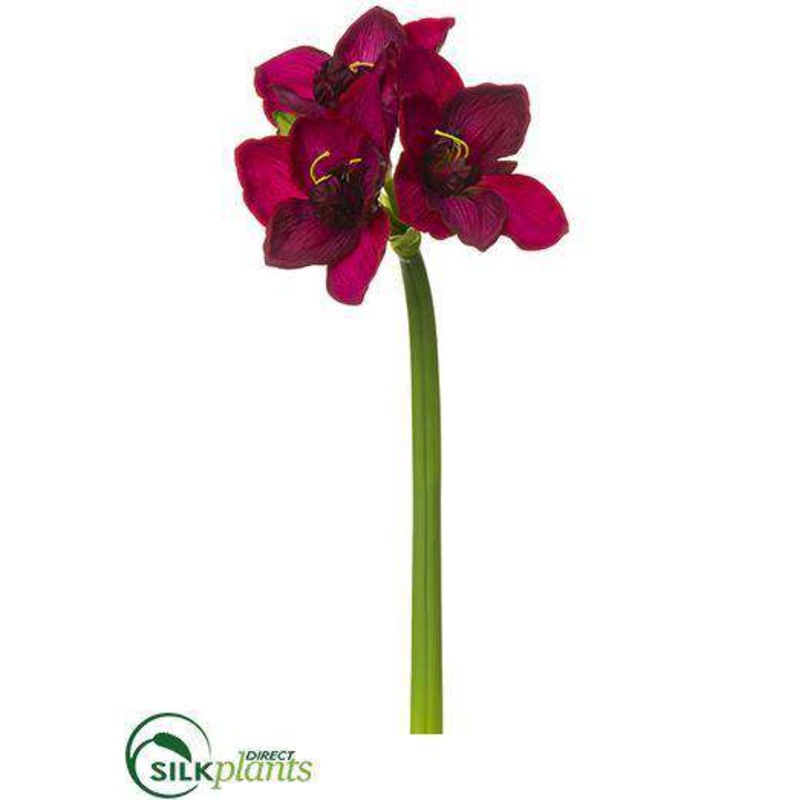 Amaryllis Spray – Burgundy Two Tone – Pack of 12